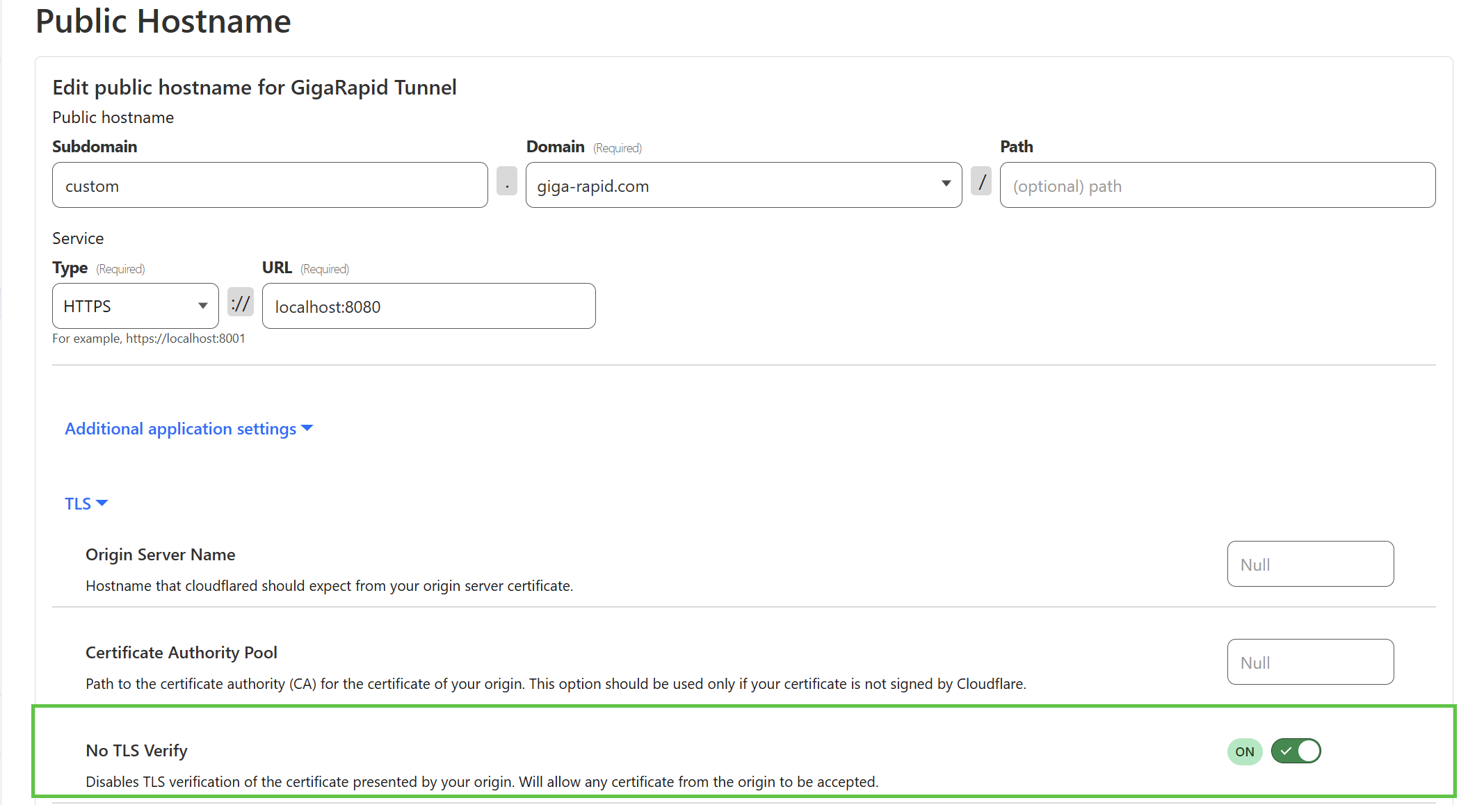 cloudflared_https_tunnel_tls_configuration.png